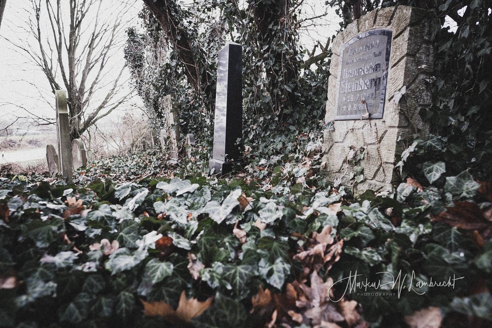 Dassel, Jüdischer Friedhof
